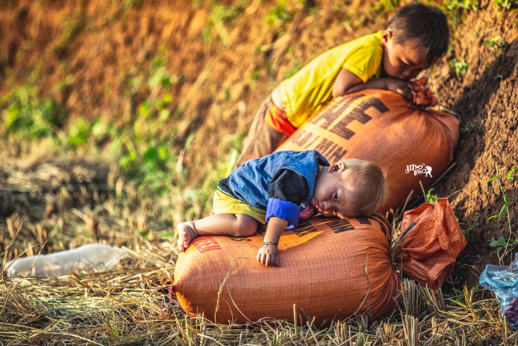 Điểm chụp Lúa Sáng Nhù