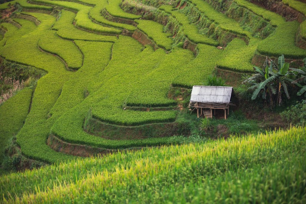  Xã Lao Chải