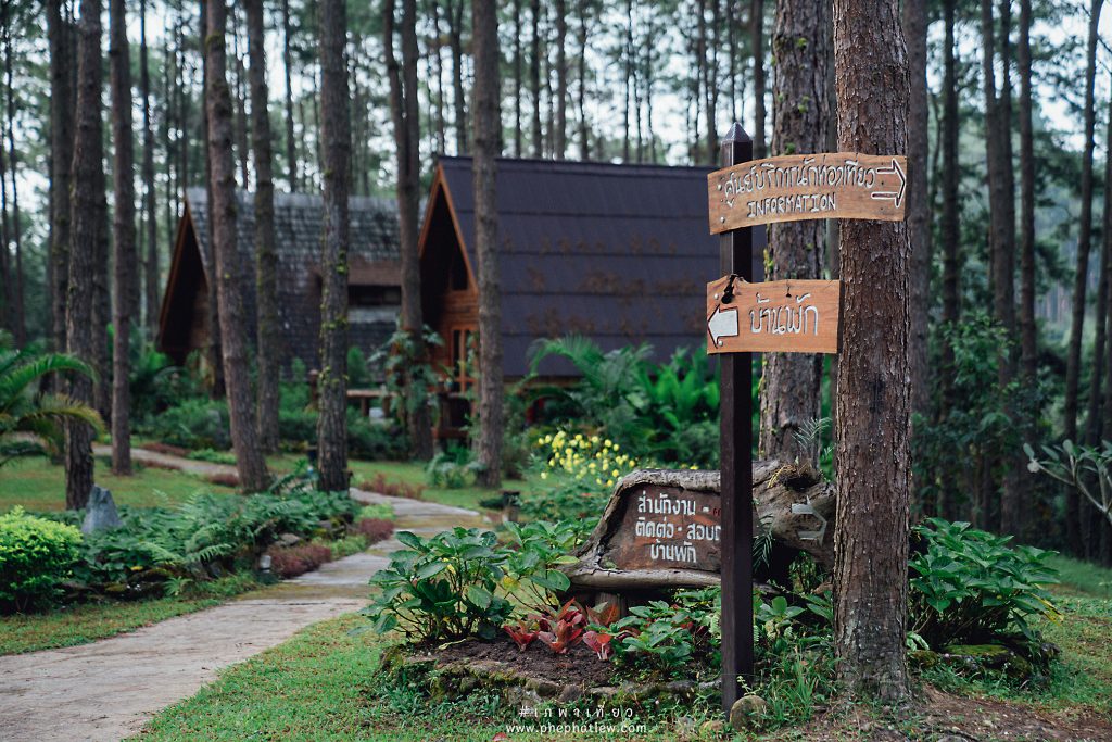 สวนป่าดอยบ่อหลวง