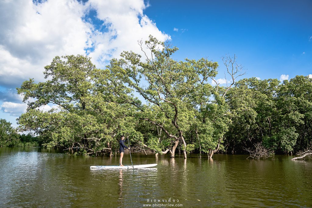 paddle board